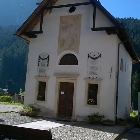 B&B Il Tulipano San Pietro di Cadore Luaran gambar