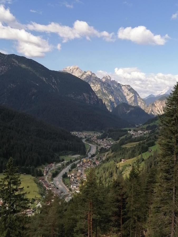 B&B Il Tulipano San Pietro di Cadore Luaran gambar