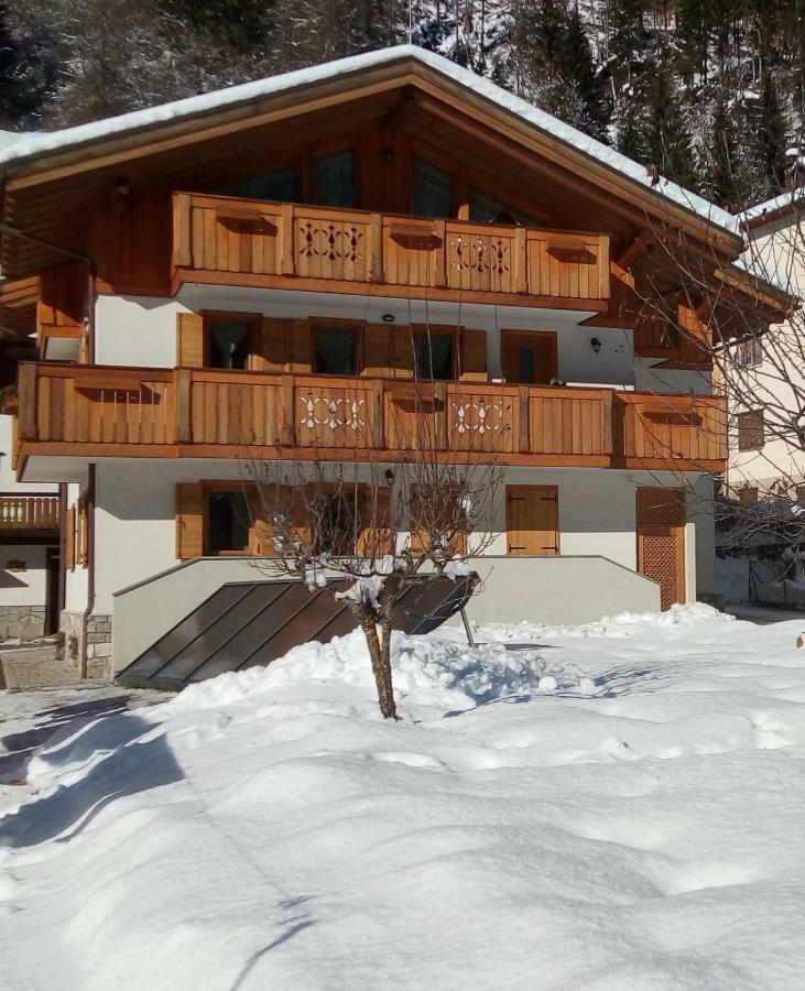 B&B Il Tulipano San Pietro di Cadore Luaran gambar