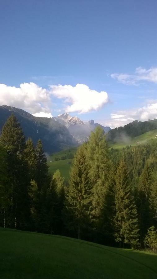 B&B Il Tulipano San Pietro di Cadore Luaran gambar