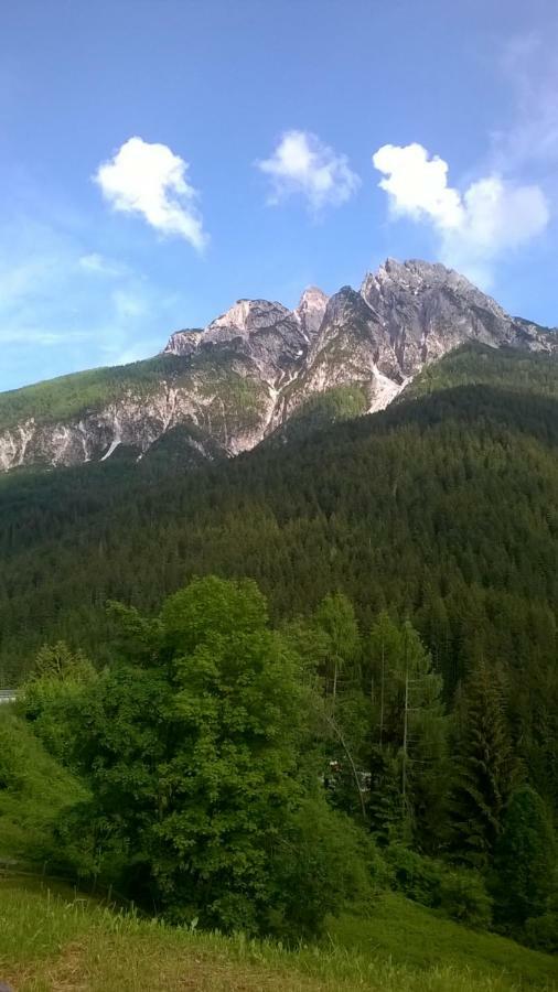 B&B Il Tulipano San Pietro di Cadore Luaran gambar