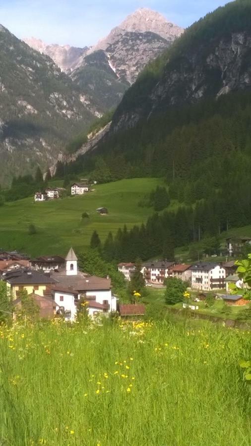 B&B Il Tulipano San Pietro di Cadore Luaran gambar