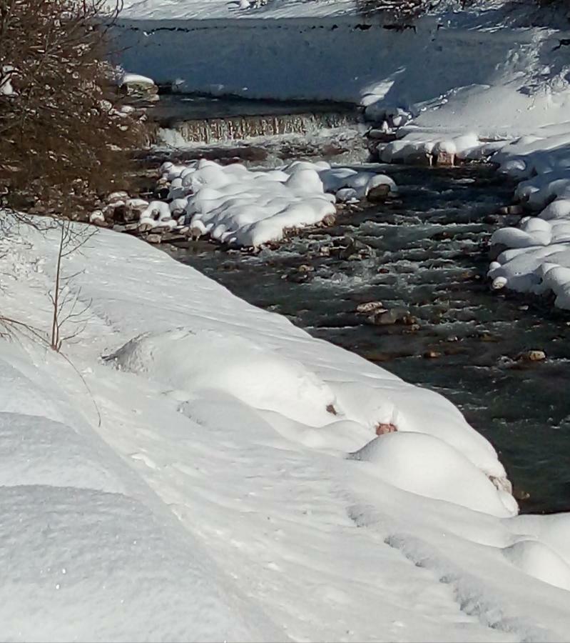 B&B Il Tulipano San Pietro di Cadore Luaran gambar